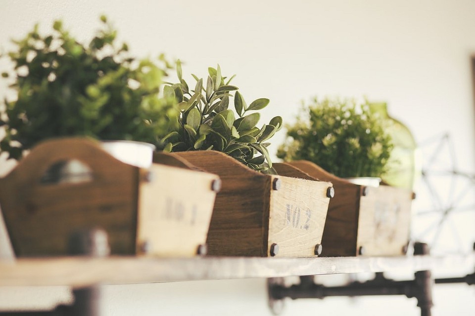 DIY Stojak na kwiaty Drewniany stojak na kwiaty DIY: instrukcja krok po kroku i materiały do wykonania