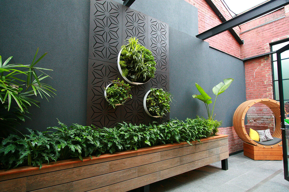 Roślina obok sofy Nowoczesny fitodizajn wnętrz: Duża roślina obok sofy w salonie