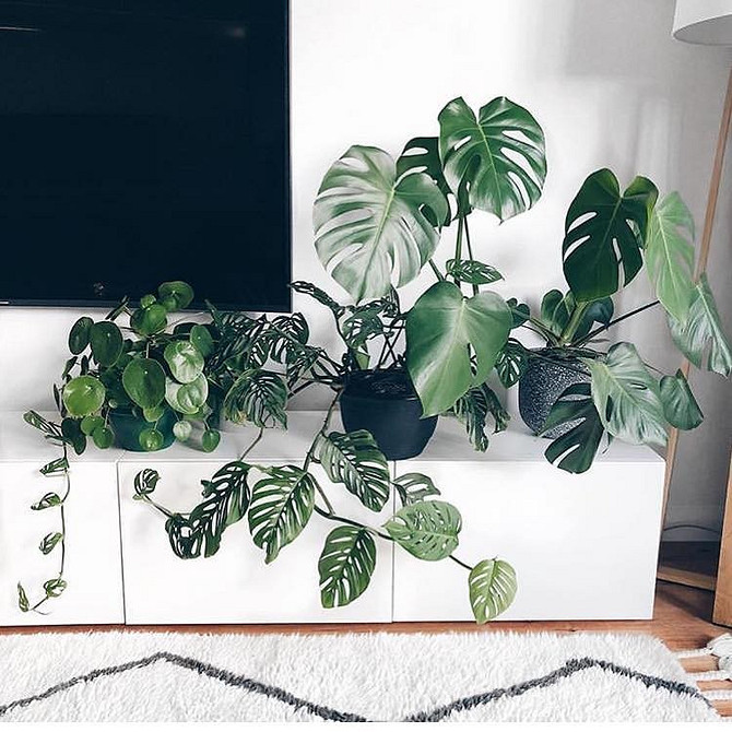 BESTA: Nowoczesny Minimalizm Nowoczesny salon z systemem BESTA IKEA 2026: stylowy, minimalistyczny design i praktyczne rozwiązania.