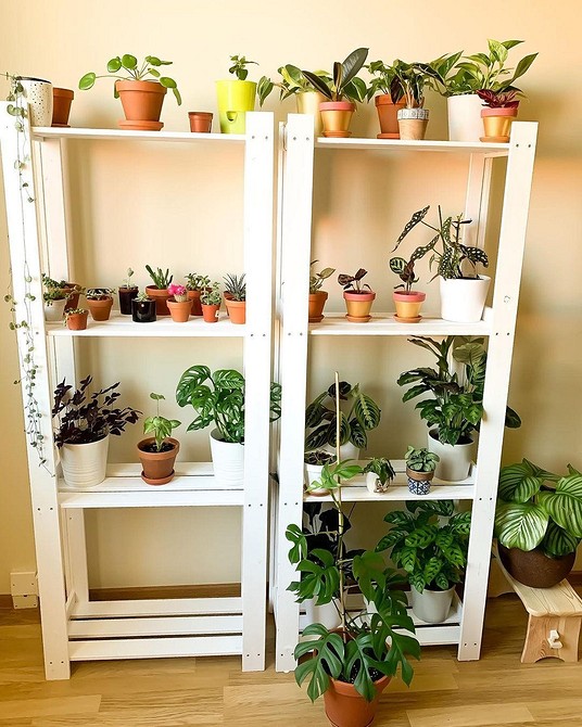 Albert IKEA: Salon Regał Albert IKEA w salonie z książkami i dekoracjami.