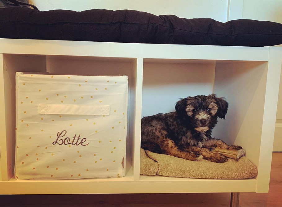 Kallax w małym mieszkaniu: funkcjonalne meble w 2026 roku, półki wiszące.