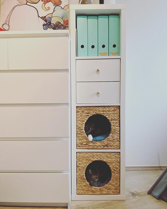 Półka Kallax IKEA w małej kuchni: funkcjonalne rozwiązanie do przechowywania, oszczędność miejsca.