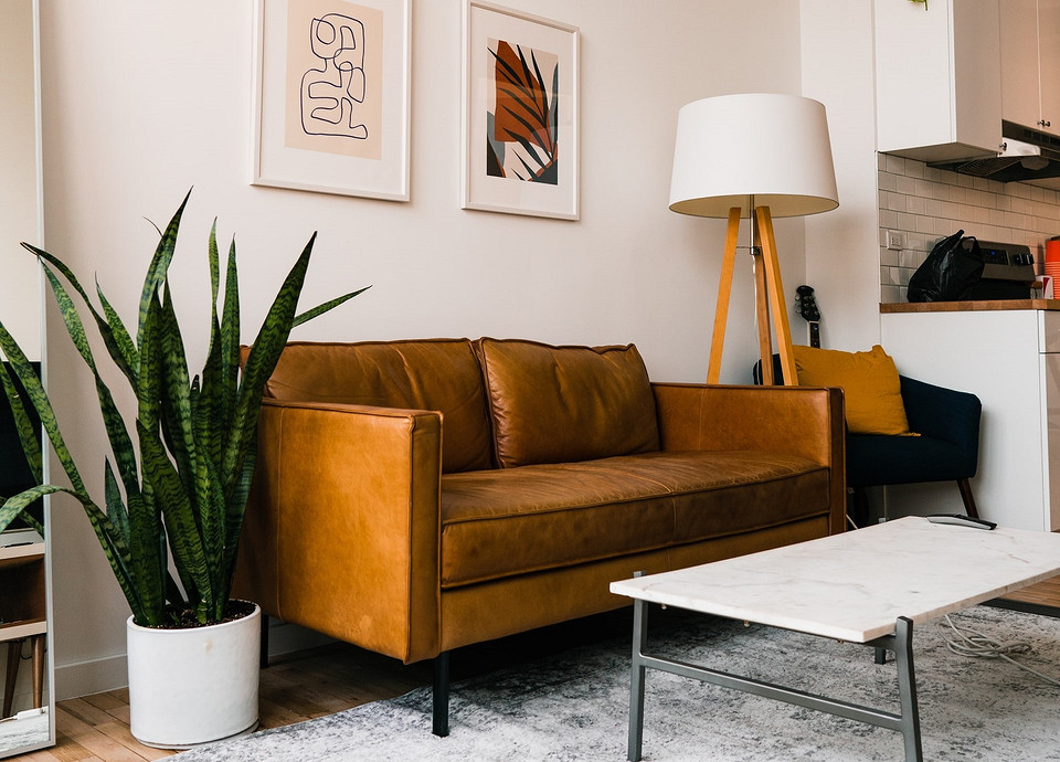 Salon z klasą Stylowy kącik w salonie z jednolitym dywanem i drewnianym stolikiem kawowym.