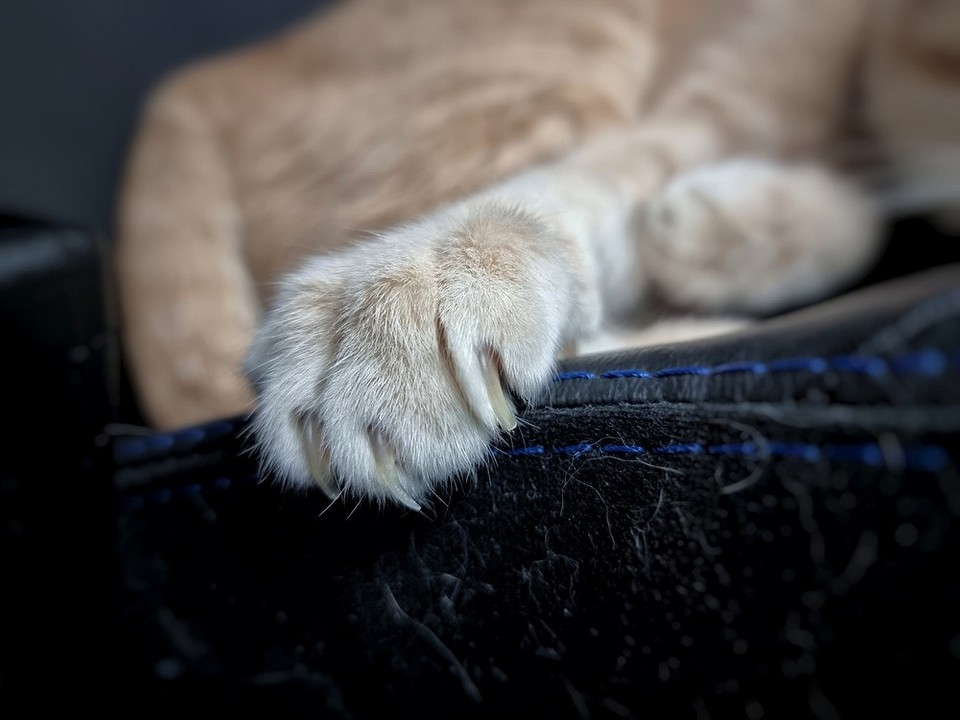 Tapicerka: poznaj materiały Przegląd popularnych tkanin do obijania sof: właściwości i pielęgnacja materiałów.