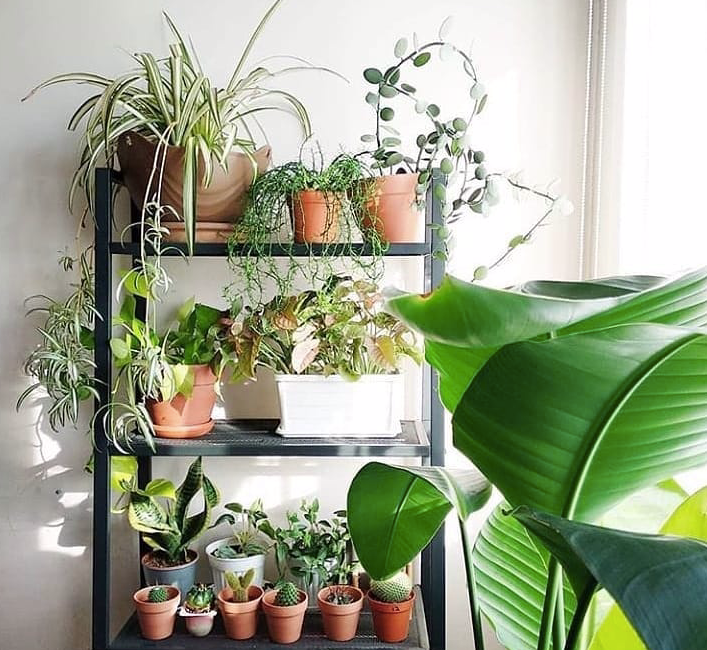 IKEA: Stylowe okazje Niedrogie meble IKEA do 3000 zł: inspiracje na stylowe i funkcjonalne wnętrze.