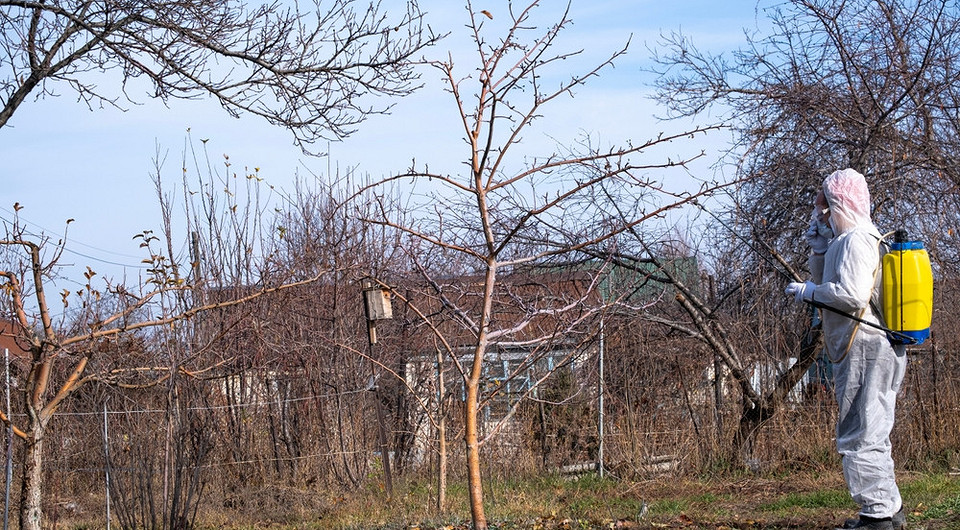 Jesienny ogród bez chorób? Siarczan żelaza – Twój przewodnik