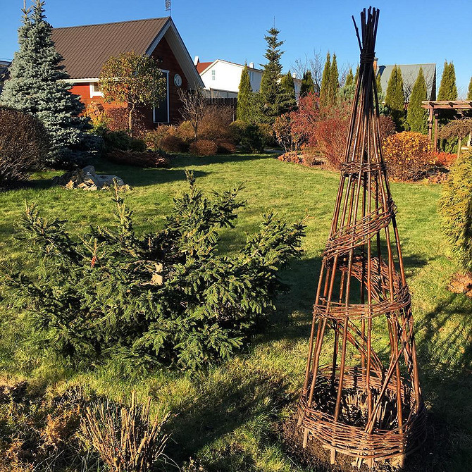 Podpora z Drewna Drewniana konstrukcja jako naturalna podpora dla pnących klemantisów.