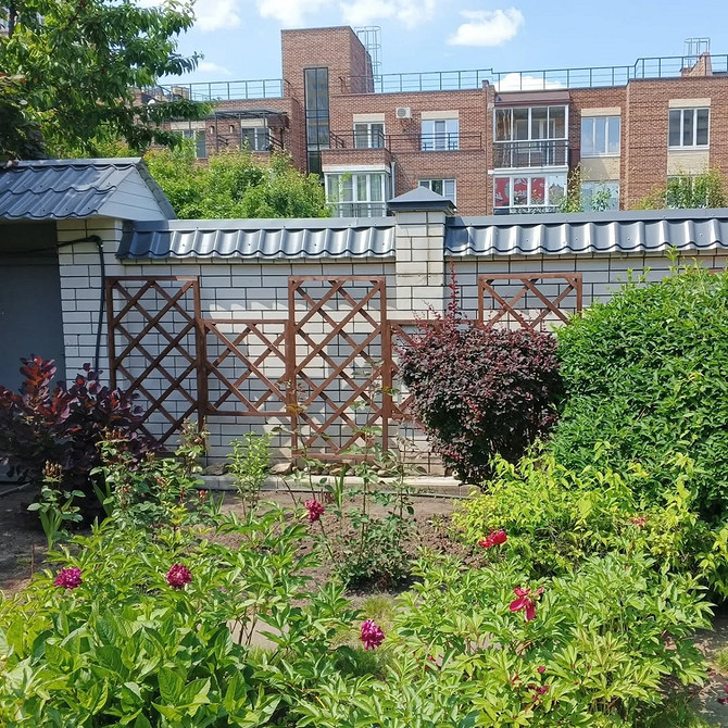 Naturalna opora z gałęzi Ręcznie robiona podpora dla powojnika z gałęzi drzew, tworzy naturalny wygląd.