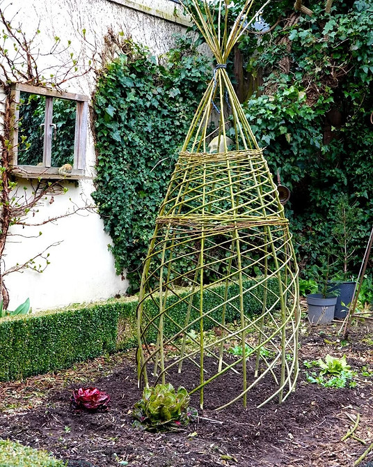 Metalowa Podpora Metalowa opora podtrzymuje klemantisy w aranżacji ogrodu.