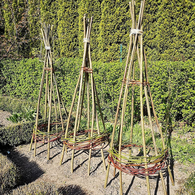 Kwitnąca Pergola Pergola dla klemantisów obsypana kwiatami w różnych kolorach.