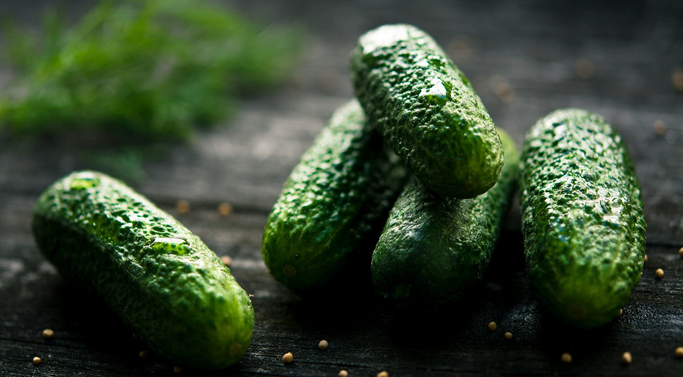 Ogórki bez zapylania Różne odmiany ogórków partenokarpicznych idealne do uprawy bez zapylania w 2026.