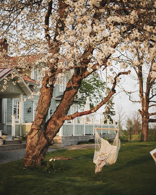 Wygodny relaks Wygodne krzesło wiszące z miękkim obiciem, przytulna strefa relaksu.