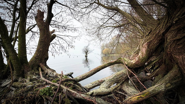 Inspiracje Wiosenne: Jak Ożywić Okno na Nowo? - 6 - SM Strumyk Inspiracje Wiosenne: Jak Ożywić Okno na Nowo?